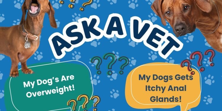 Ask Dr. Paola- Help! My Dogs Are Overweight! (April 13, 2026)