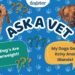 Ask Dr. Paola- Help! My Dogs Are Overweight! (April 13, 2026)