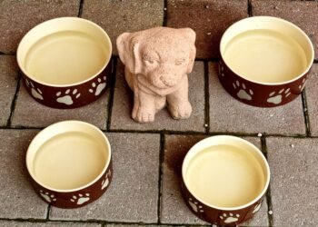 Healthy Homemade Dog Treats: Vet-Approved Recipes Without Flour for Happy Pups