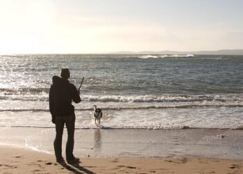 Unleash Your Dog’s Potential: Top-Rated Training Camp Near You!