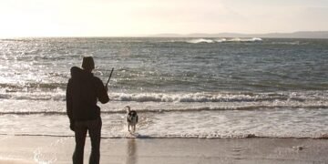 Unleash Your Dog’s Potential: Top-Rated Training Camp Near You!