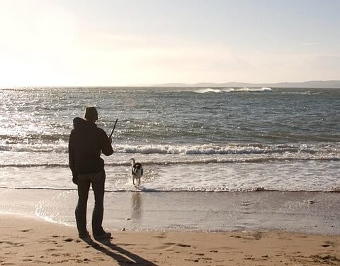 Unleash Your Dog’s Potential: Top-Rated Training Camp Near You!