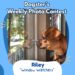 Dogster’s Weekly Photo Contest Winners: Window Watchers (May 11, 2026)