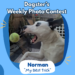 Dogster’s Weekly Photo Contest Winners: My Best Trick (April 16, 2026)