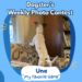 Dogster’s Weekly Photo Contest Winners: My Favorite Game (April 23, 2026)