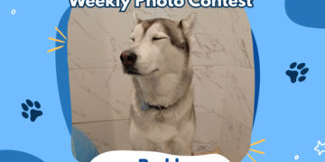 Dogster’s Weekly Photo Contest Winners: Bath Time (May 25, 2026)