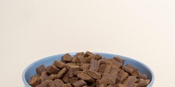 Deliciously Picky: Uncovering the Best Dog Food for Finicky Eaters