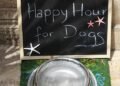Top-rated Dog Food for Allergies: A Picky Eater’s Dream Come True