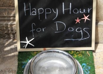 Top-rated Dog Food for Allergies: A Picky Eater’s Dream Come True