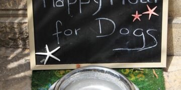 Top-rated Dog Food for Allergies: A Picky Eater’s Dream Come True