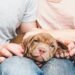 Puppy Blues: 17 Tips for Dealing with the Puppy Blues