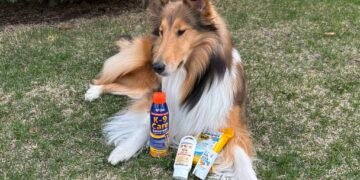 The Best Dog Sunscreen