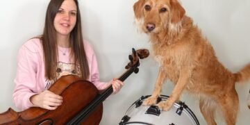 Meet Anabel, the Drumming Dog Making Music With Her Best Friend