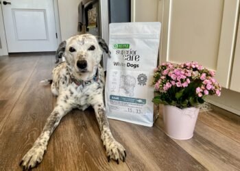 Superior Care White Dogs Grain-Free Small Breed Dog Food Review 2026: Our Expert’s Opinion