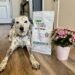 Superior Care White Dogs Grain-Free Small Breed Dog Food Review 2026: Our Expert’s Opinion