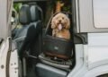 The Best Car Seats for Dogs
