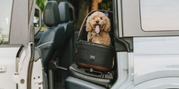 The Best Car Seats for Dogs
