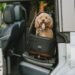 The Best Car Seats for Dogs