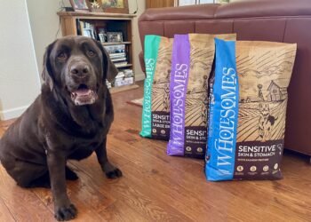 Wholesomes Dog Food Sensitive Skin & Stomach Review 2026: Our Expert’s Opinion